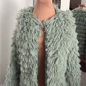 Shaggy Faux Fur Jacket in Light Green